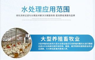 食品厂饮料厂专用纯净水设备 0.5t h全自动反渗透净水设备